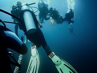 Image showing Scuba divers ascending to the surface