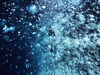 Image showing Scuba diver descending to the bottom