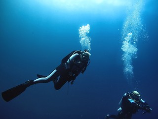 Image showing Scuba divers ascending to the surface
