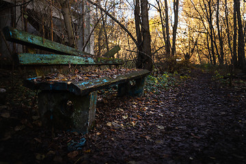 Image showing Old destroyed bench next to path