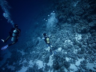 Image showing Scuba diver descending to the bottom