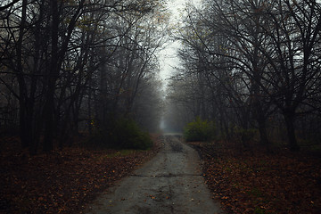 Image showing Dark abandoned road in the forest