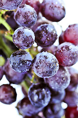 Image showing Red grapes