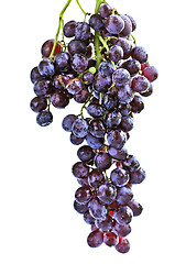 Image showing Red grapes