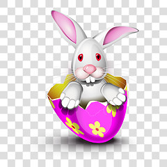 Image showing Bunny in a pink egg shell with transparency