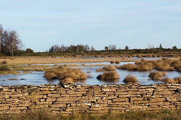 Image showing Flooded land with grass tufts