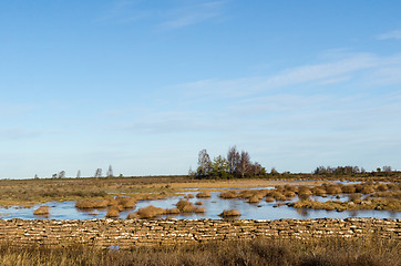 Image showing Flooded landscape by an old dry stone wall  