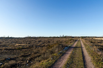 Image showing Straight gravel road through a plain grassland