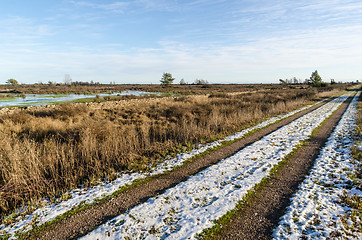 Image showing Sunlit straight gravel road through a plain grassland