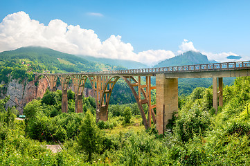 Image showing Bridge Over Tara