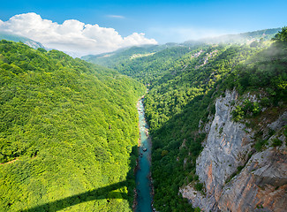 Image showing Mountains and Tara river