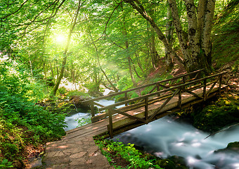 Image showing Tara springs park