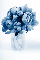 Image showing Samll peony on vase