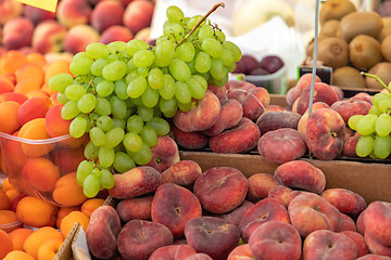 Image showing Grapes Fruits