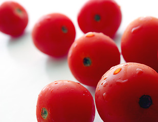 Image showing tomatos