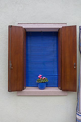 Image showing Flower Pot Burano