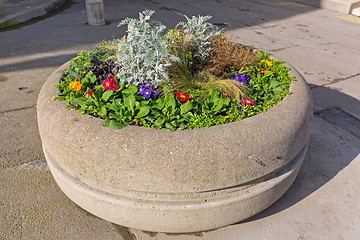 Image showing Concrete Flower Pot