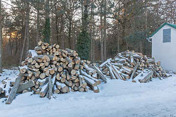 Image showing Firewood Cabin