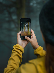 Image showing Taking a picture to a forest