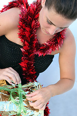 Image showing Christmas portrait