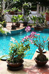 Image showing Beautiful swimming pool 