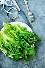 Image showing rucola