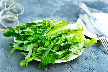 Image showing rucola