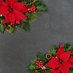 Image showing Poinsettia Flower Thanksgiving Border