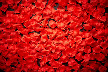 Image showing Background of beautiful red rose petals. Top view