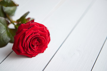 Image showing Fresh red rose flower on the white wooden table