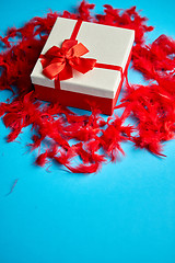 Image showing Box with a gift, tied with a ribbon placed on red feathers