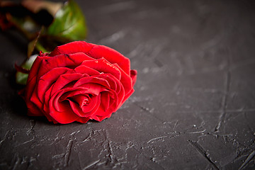 Image showing Fresh red rose flower on the white wooden table