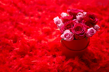 Image showing Pink roses packed in box and placed on red feathers background w