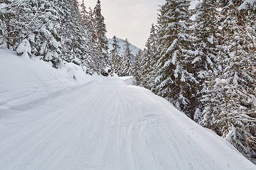 Image showing Winter Snowy Mountain Landscape