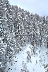 Image showing Winter Snowy Landscape, Mountains and Trees