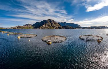 Image showing Farm salmon fishing in Norway