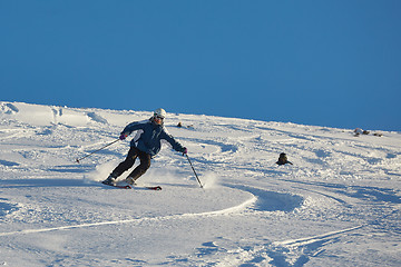 Image showing Skiing in fresh powder snow