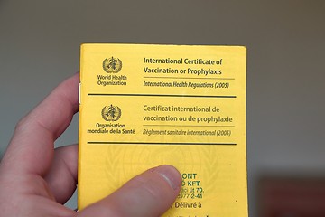 Image showing Vaccination certificate shown at immigration control