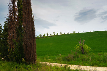 Image showing Beautiful spring landscape with hills in Tuscany