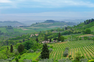 Image showing Beautiful spring landscape with hills in Tuscany