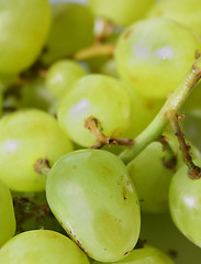 Image showing Green grape