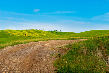 Image showing Winding road in Tuscana, Italy