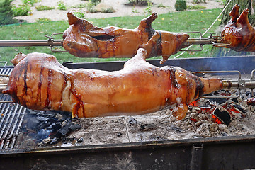 Image showing Pig carcasses over a charcoal fire