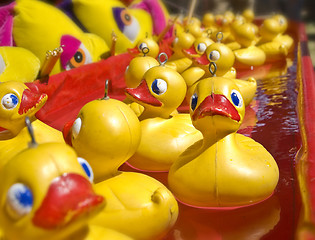 Image showing lots of rubber ducks