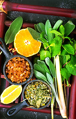 Image showing herbal tea