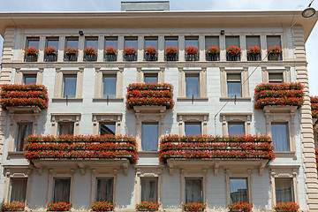 Image showing Floral Terraces