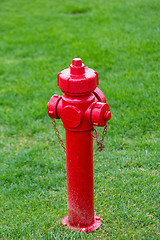 Image showing Fire Hydrant Gras