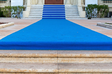 Image showing Blue Carpet