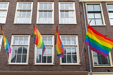 Image showing Rainbow Pride Flags