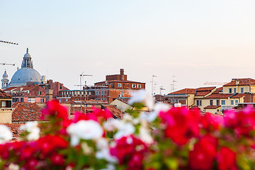 Image showing Historical urban sityscape with colored flowers on the forefront.